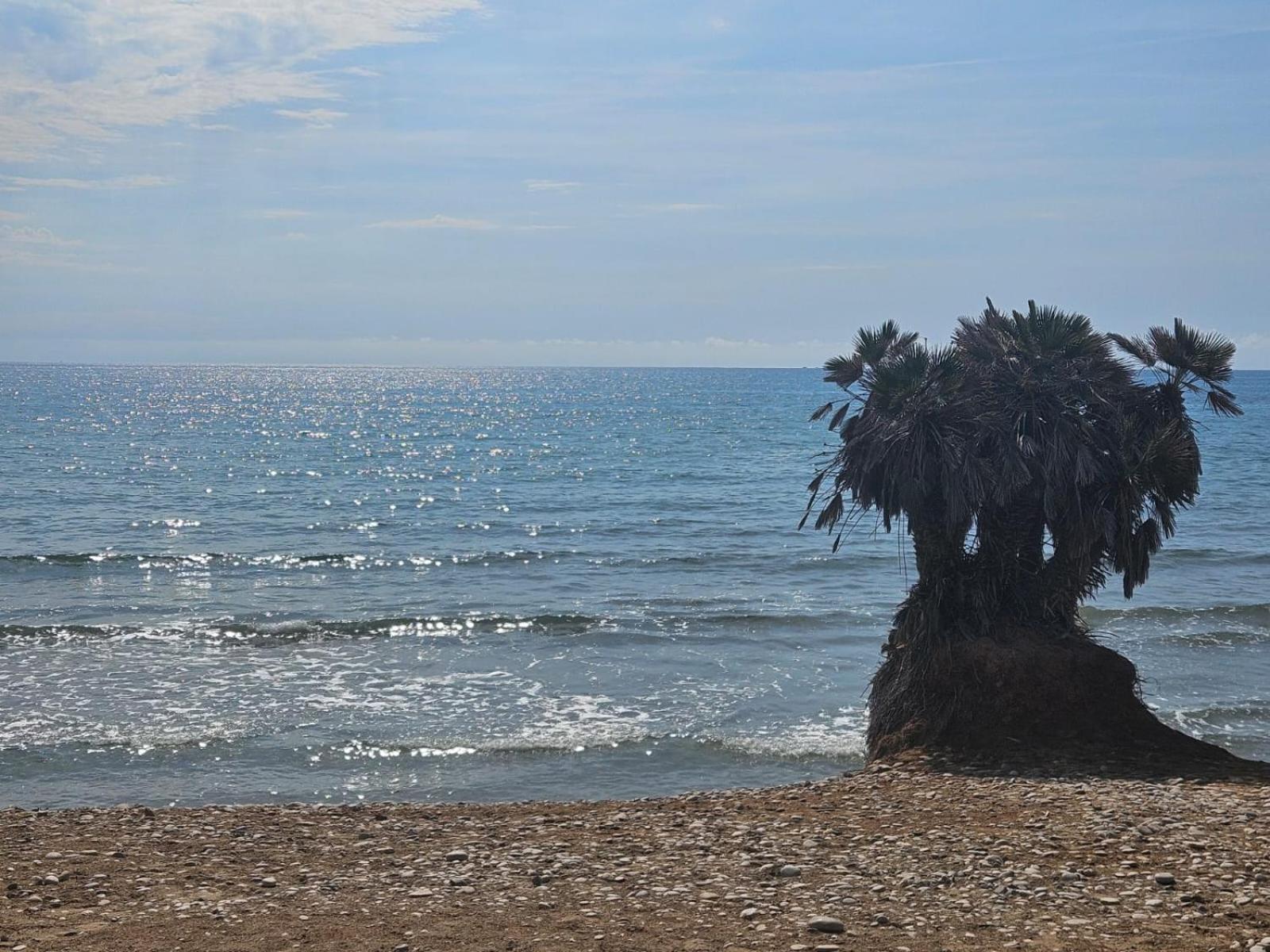 Mondrian Magic World - Sea View First Line Of The Beach Oropesa del Mar Exterior foto